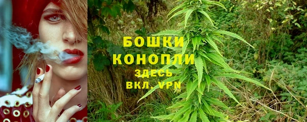 каннабис Белокуриха