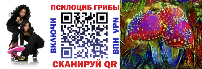 как найти наркотики Гулькевичи mega онион Галлюциногенные грибы Cubensis